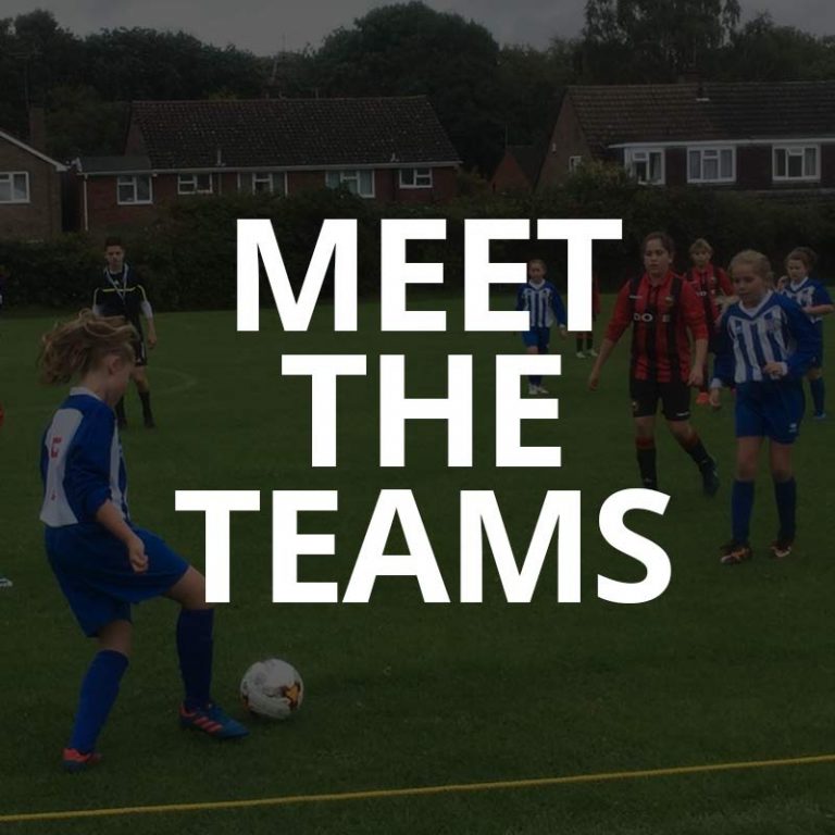 FC Lakeside FC Lakeside FA Charter Standard Community Club Cheltenham Fc lakeside fc lakeside fa charter standard community club cheltenham